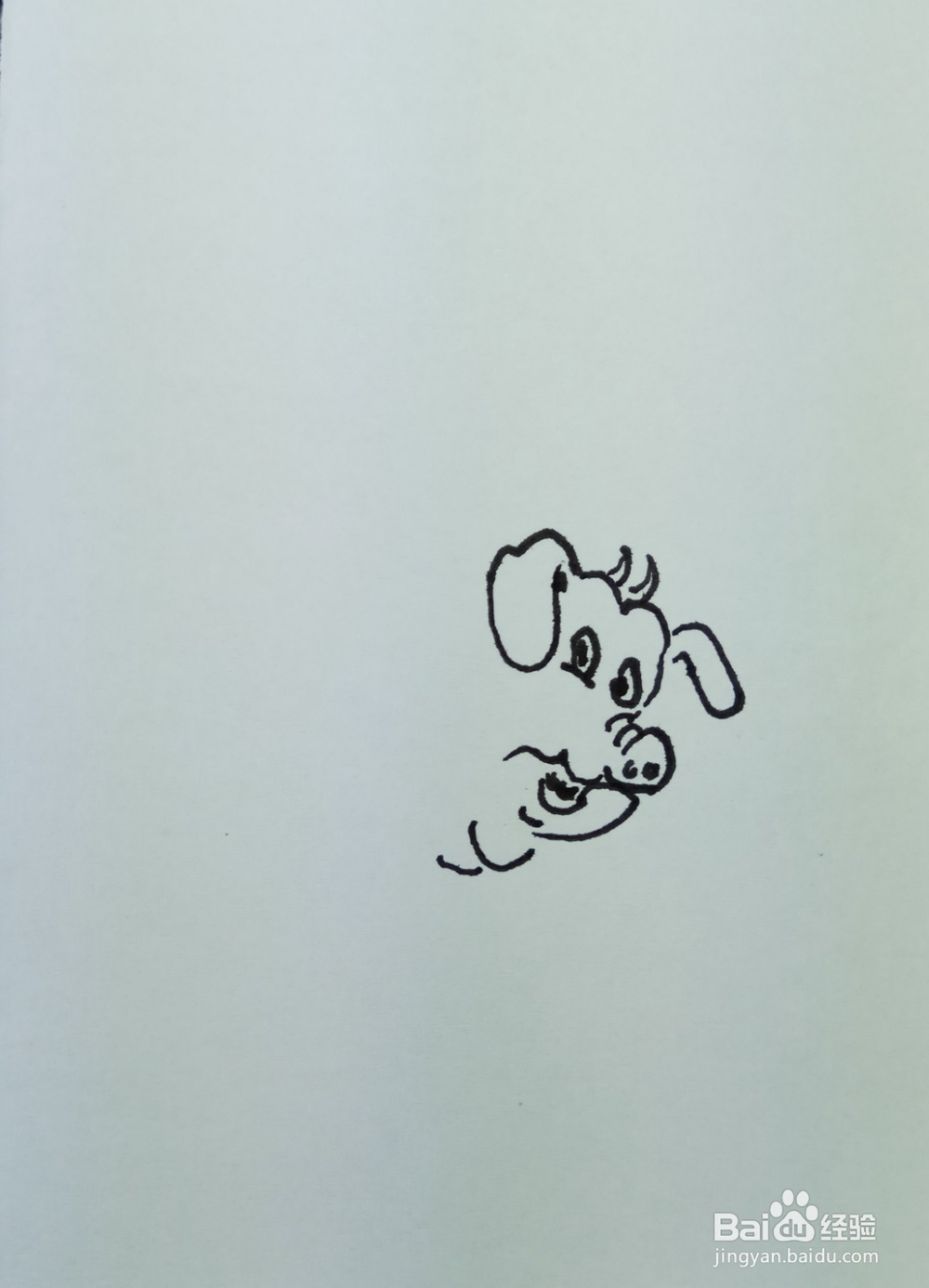 怎样画简笔画“花胖猪”？