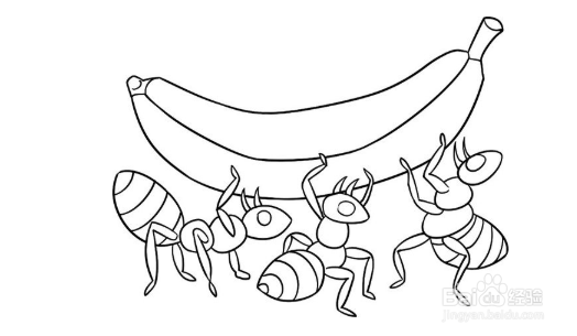 简笔画:忠诚的小狗和蚂蚁的绘画步骤