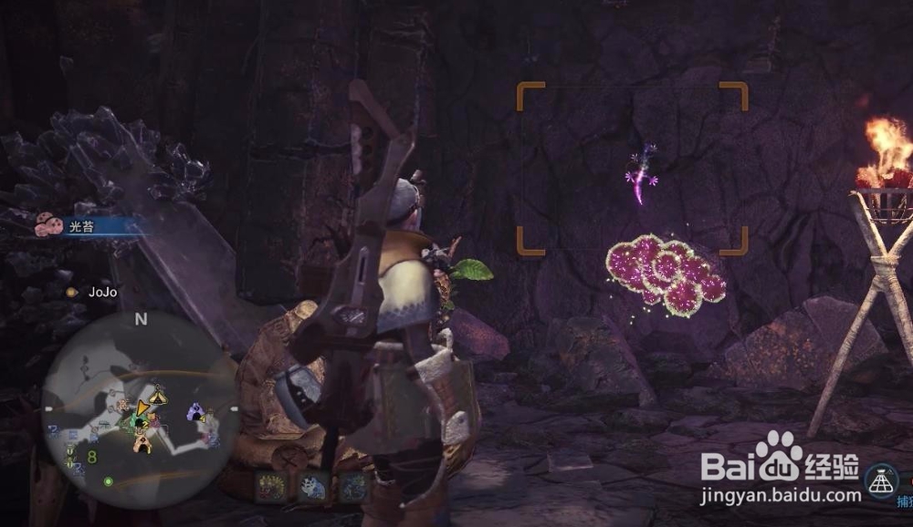 怪物猎人世界月光蜥蜴捕获位置介绍