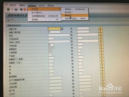 SAP系统如何在报表中添加变式、查询、删除变式