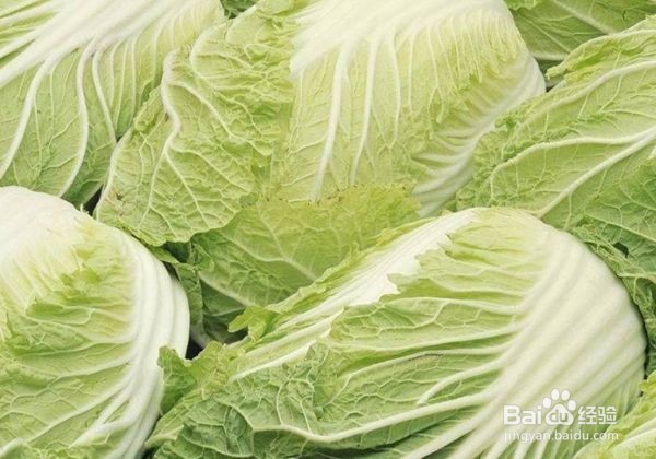 吃白菜的3大禁忌