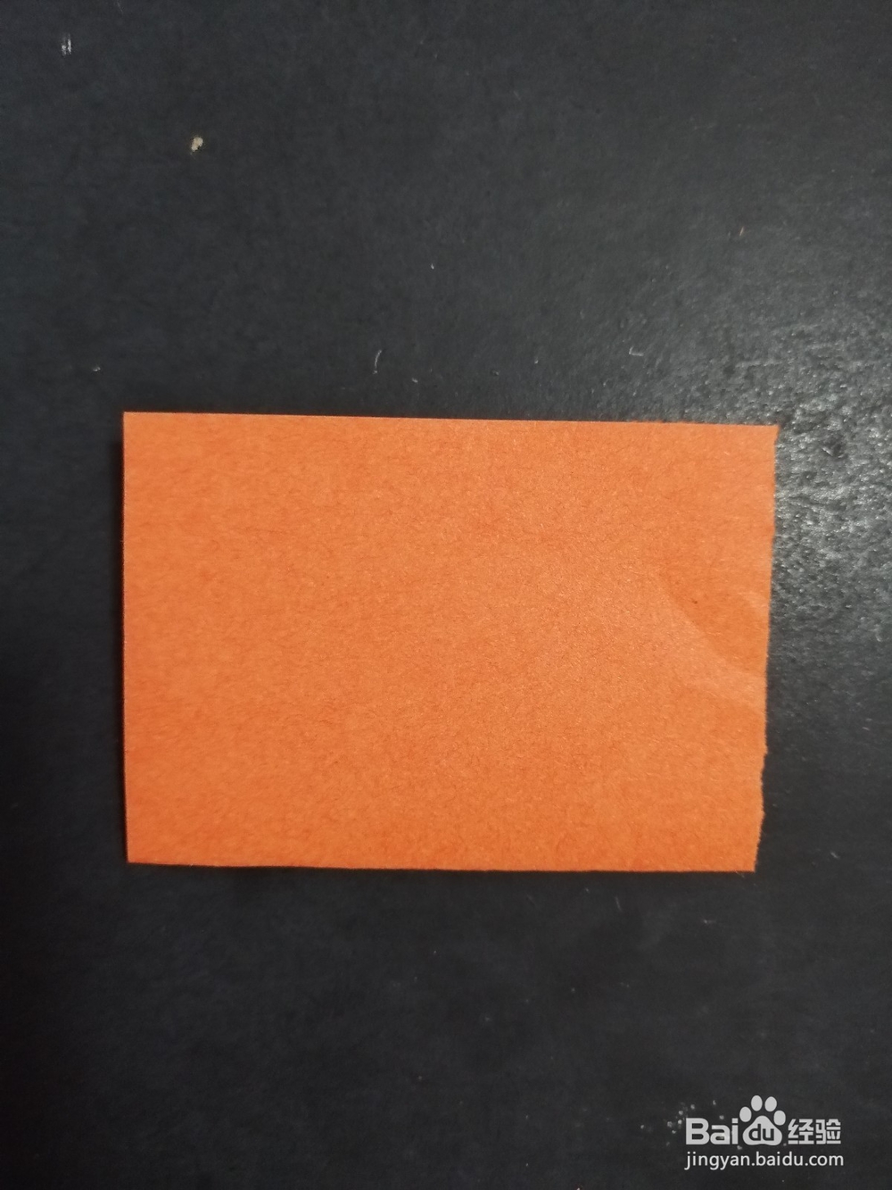 简单的猫头鹰怎么剪