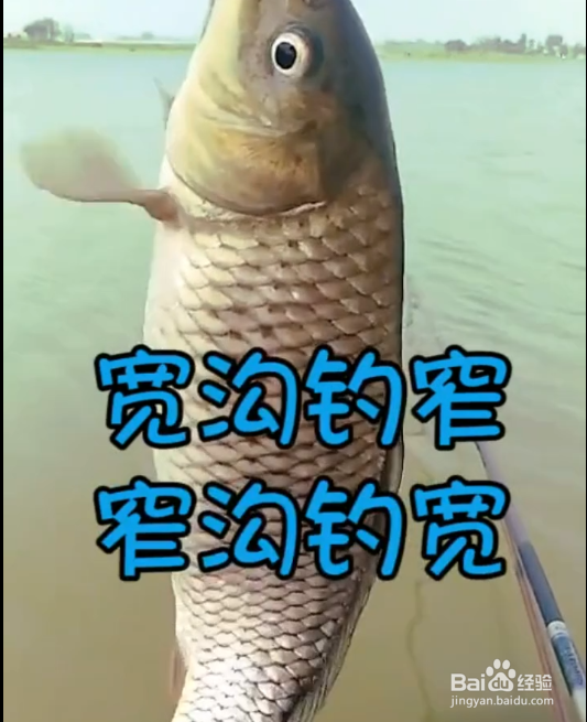 如何高效率的钓到鱼