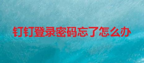 钉钉登录密码忘了怎么办