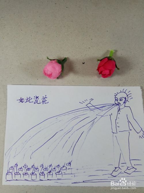 怎样画趣味简笔画如此浇花 百度经验