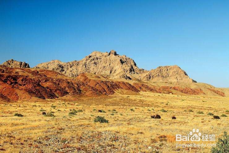 初中生物：我国主要的植被类型