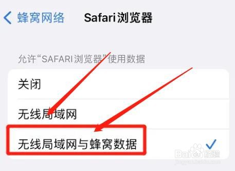 Safari浏览器在哪里开启网络权限