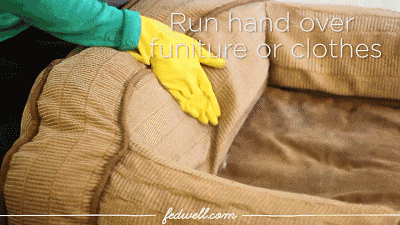 清理地上头发的好帮手!