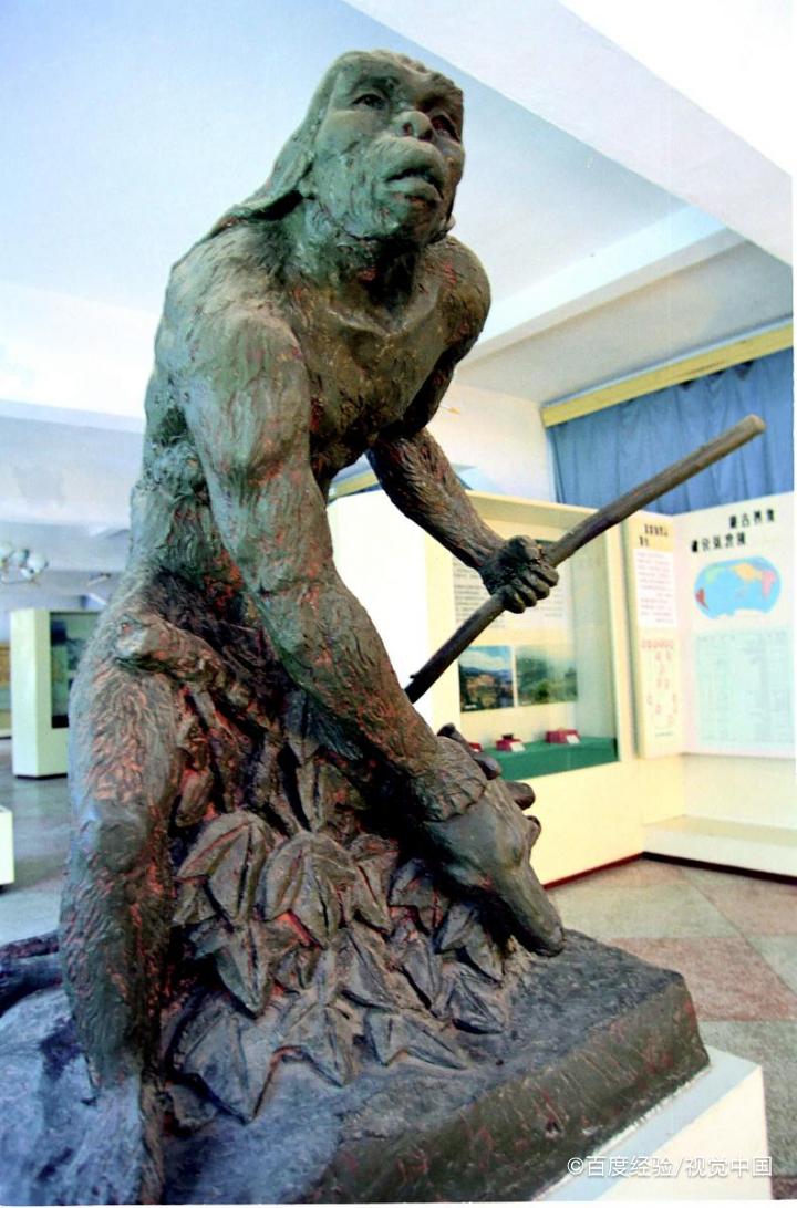 人是怎么进化的