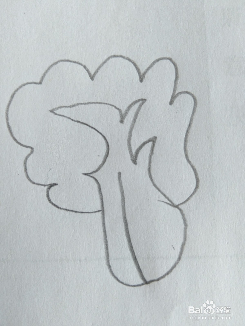 儿童简笔画白菜画法十