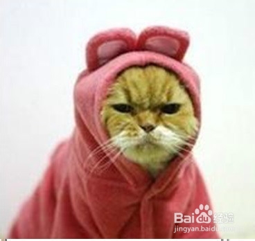 如何养胃更健康