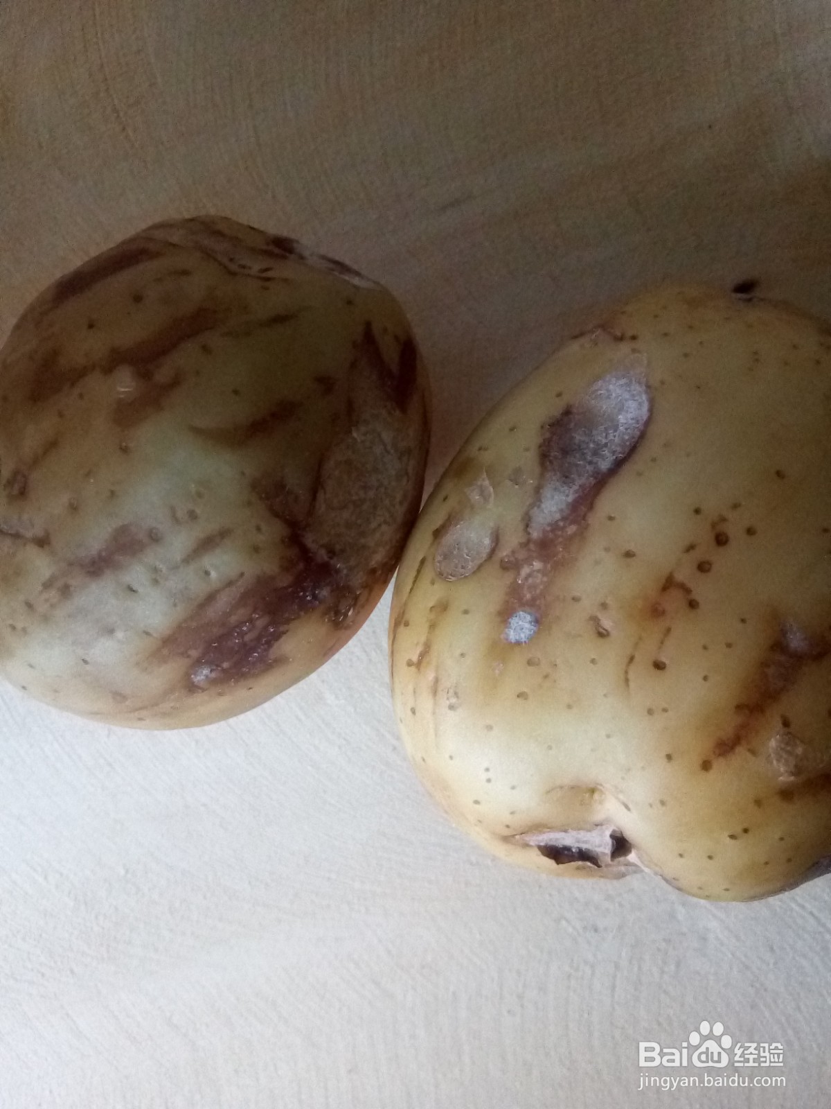 家常土豆炖豆角