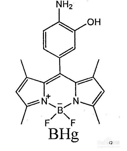 铵根离子的检验方法