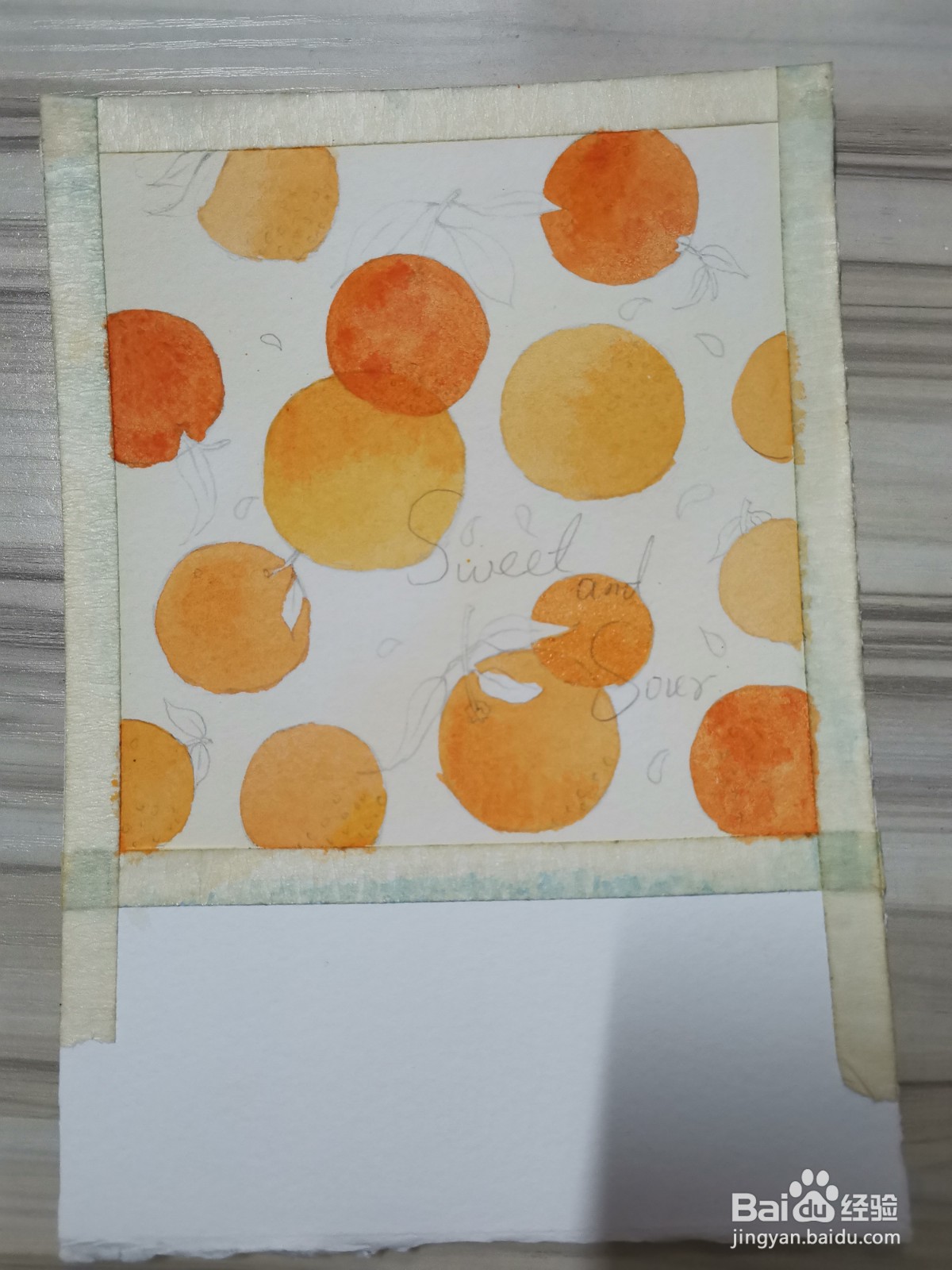 橘子水彩插画上色教程