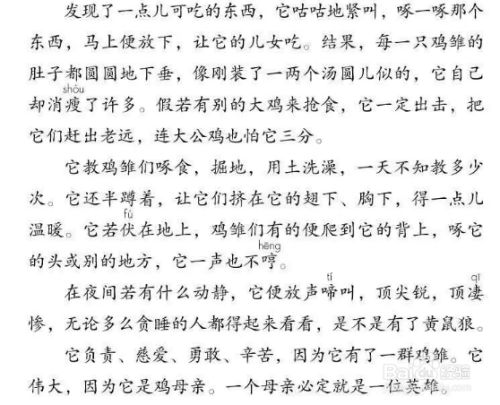 老舍笔下的母鸡用了什么写作方法