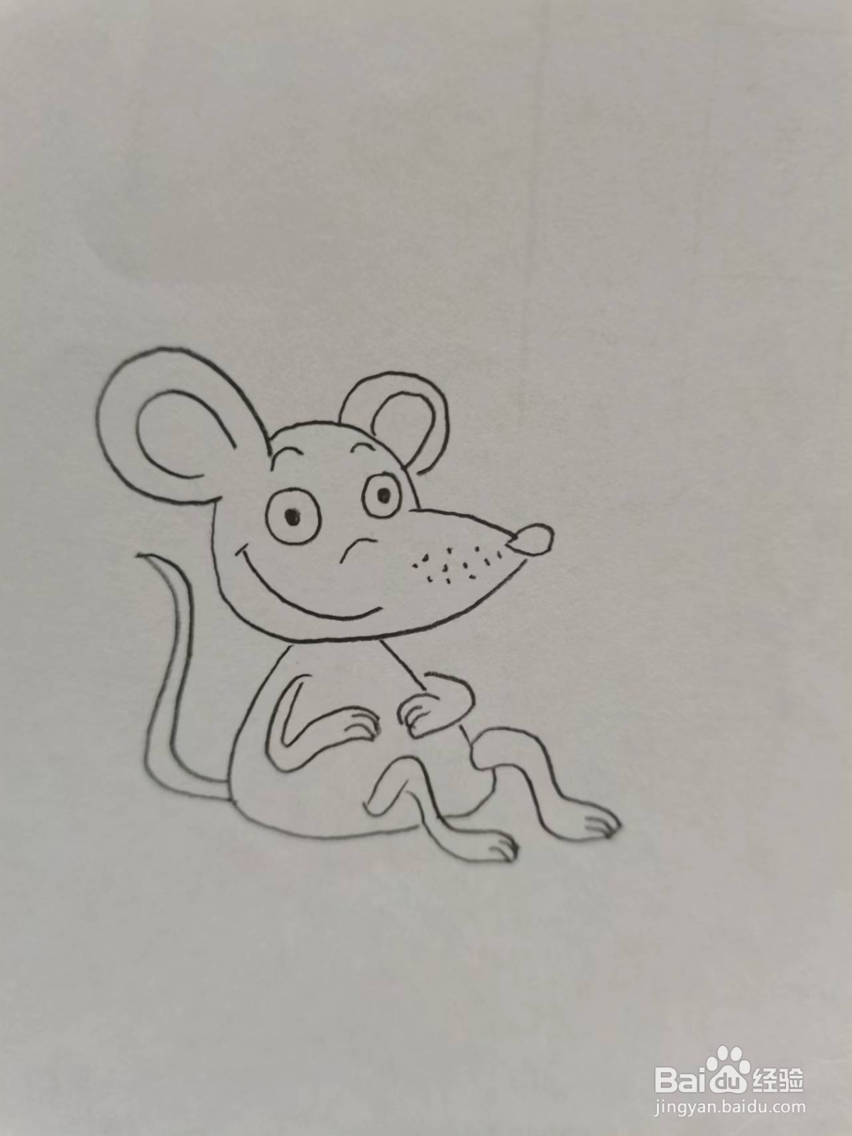铅笔画吃饱的小老鼠