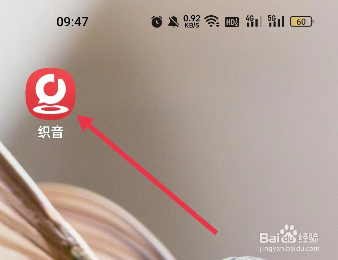 织音APP怎样查看常见问题