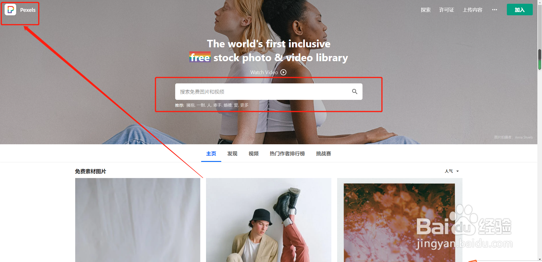 图片的免费素材网