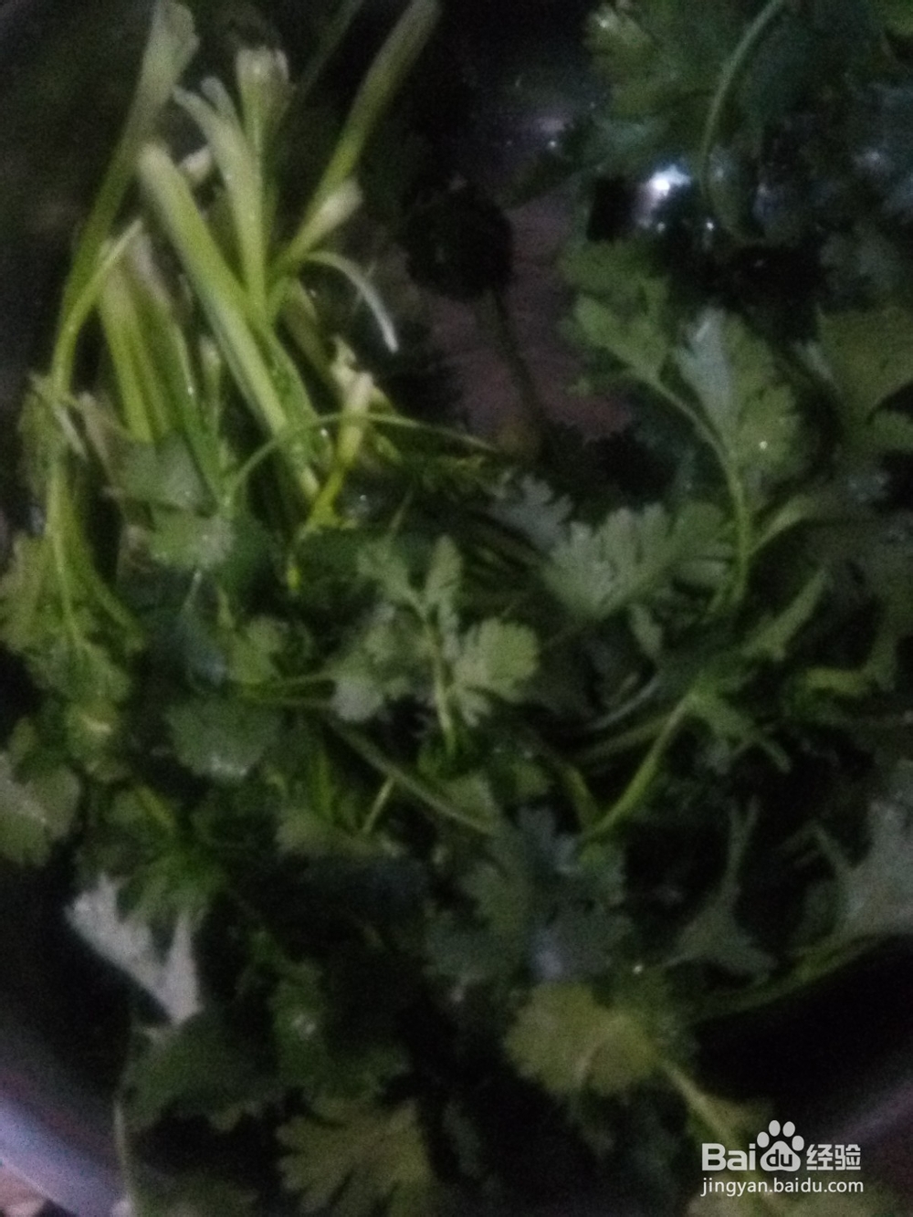 大蒜碎香菜拌绿豆芽