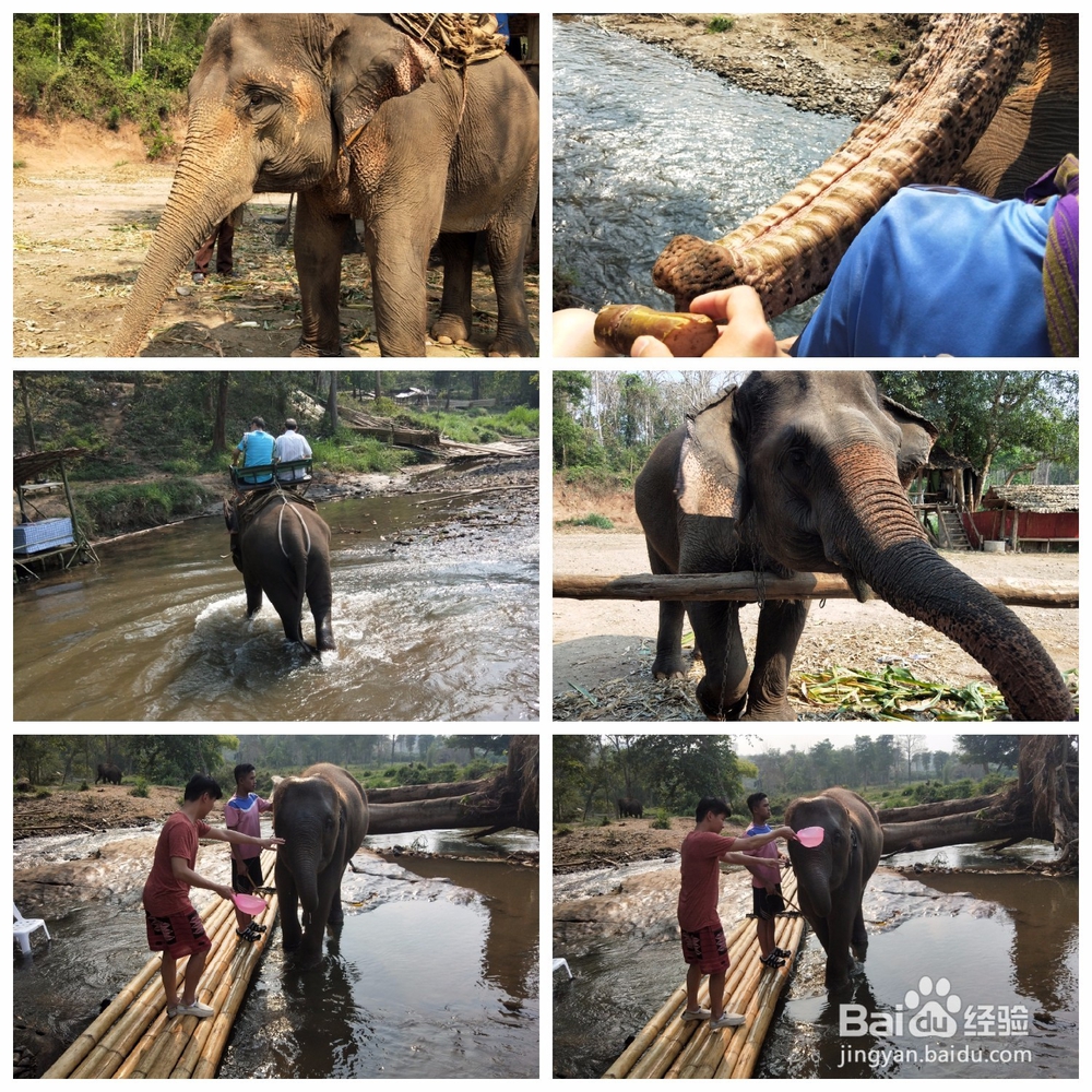 清迈刺激好玩的项目(2018.4.1更新)