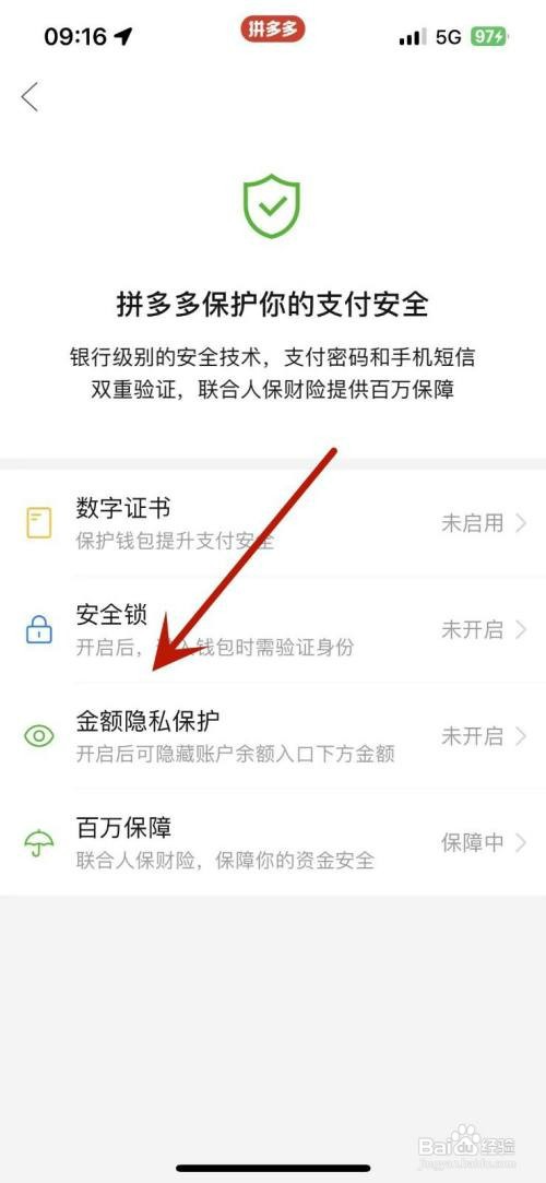拼多多如何设置金额隐私保护功能