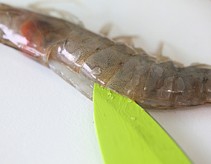 蒜蓉烤虾的做法