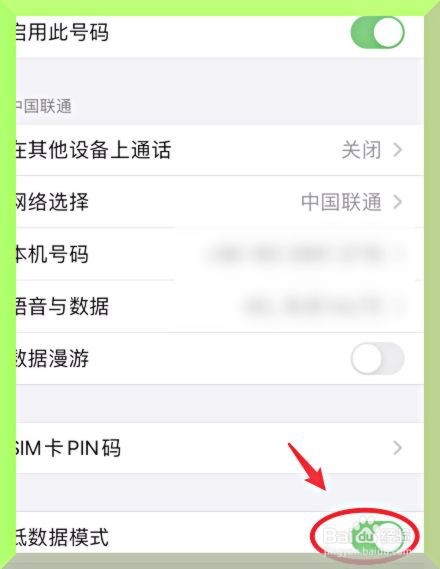 苹果手机怎么开启低数据模式