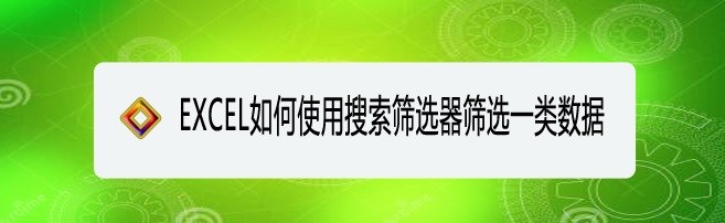 <b>EXCEL如何使用搜索筛选器筛选一类数据</b>