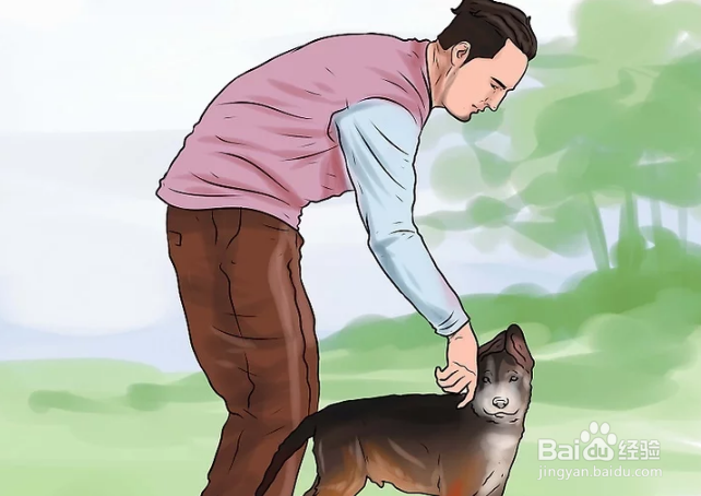 如何训练德国牧羊犬