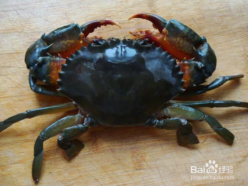 怎样做酱炒红膏鲟