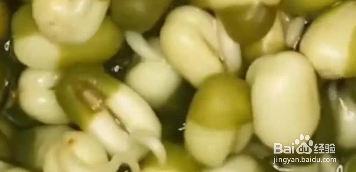 生活中有什么种植小技巧