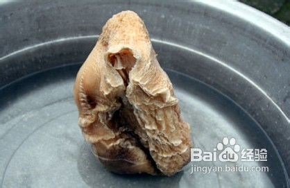 关于太岁肉灵芝的各种传说