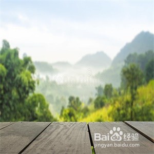 怎样拍出背景模糊的照片