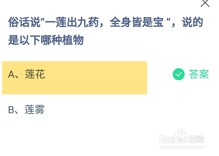 蚂蚁庄园2024.9.24一莲出九药全身皆是宝说的是