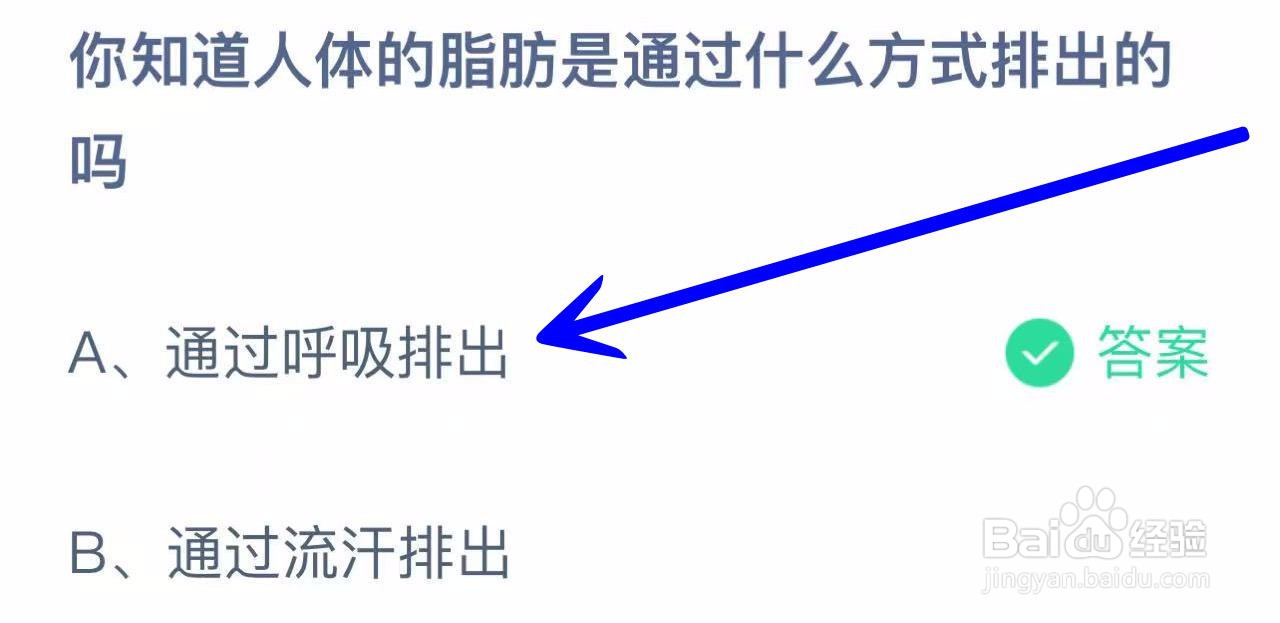 蚂蚁小课堂11.18人体脂肪通过什么方式排出