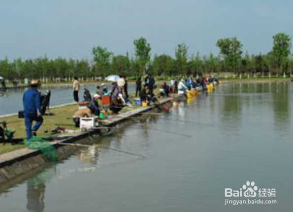 什么是台钓？手钓和悬浮坠钓法与台钓有区别吗