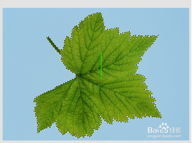 想要把图片上的物体单独抠图，怎么办？