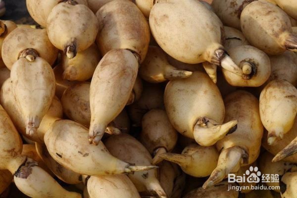 雾霾天吃哪些东西可以养肺?