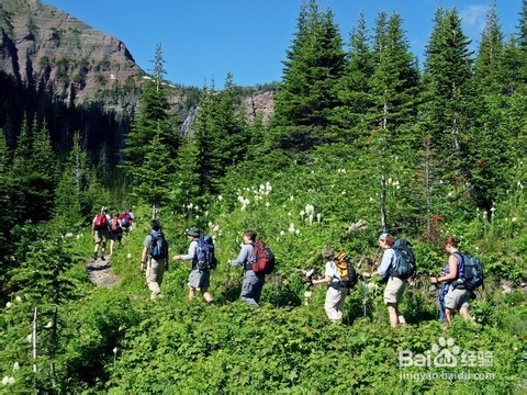 张家界自助游报价网站