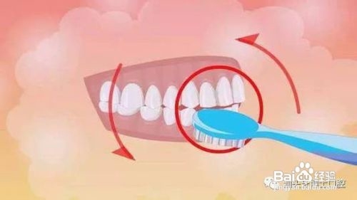 正确的刷牙方法