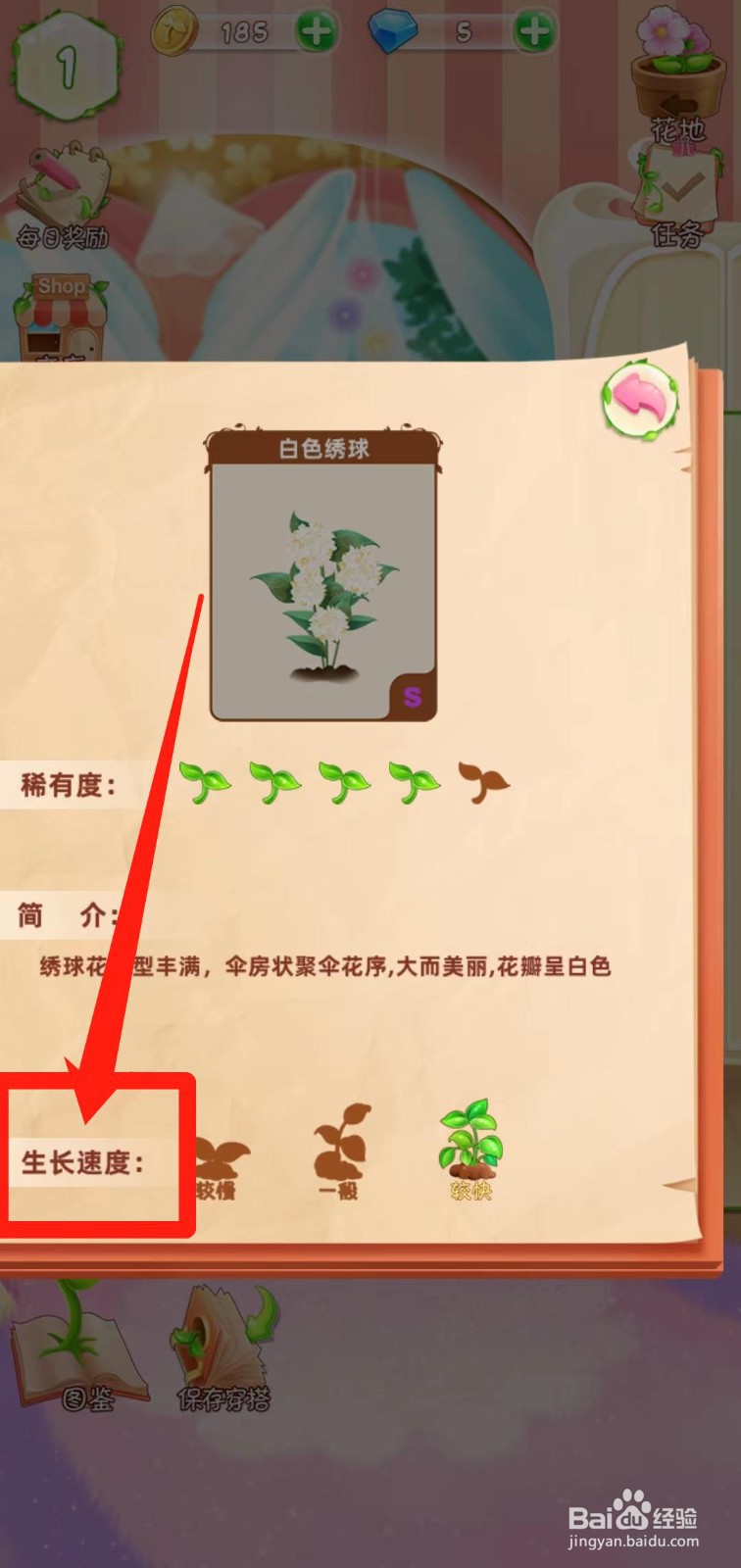 花花姑娘之魔法花园如何查看白色绣球生长速度