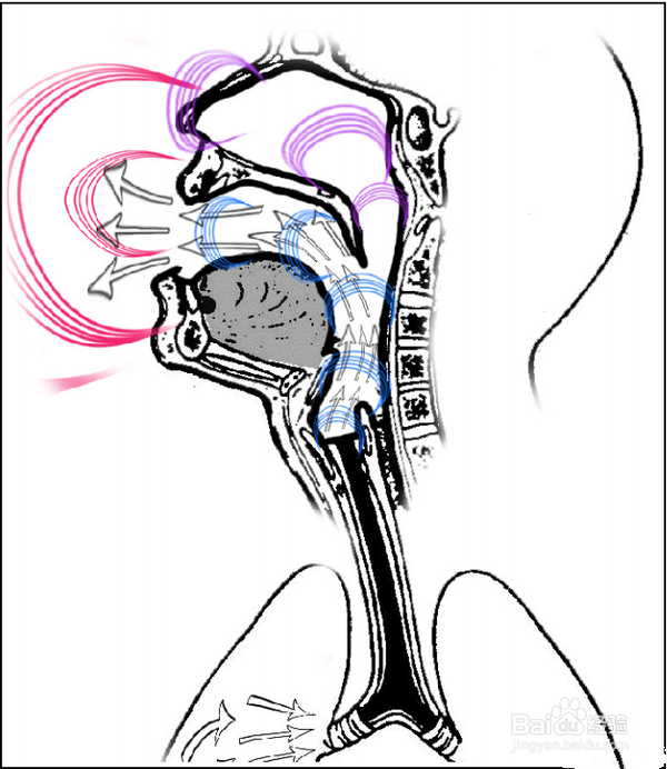 声乐演唱中如何产生共鸣并进行自我支配调整