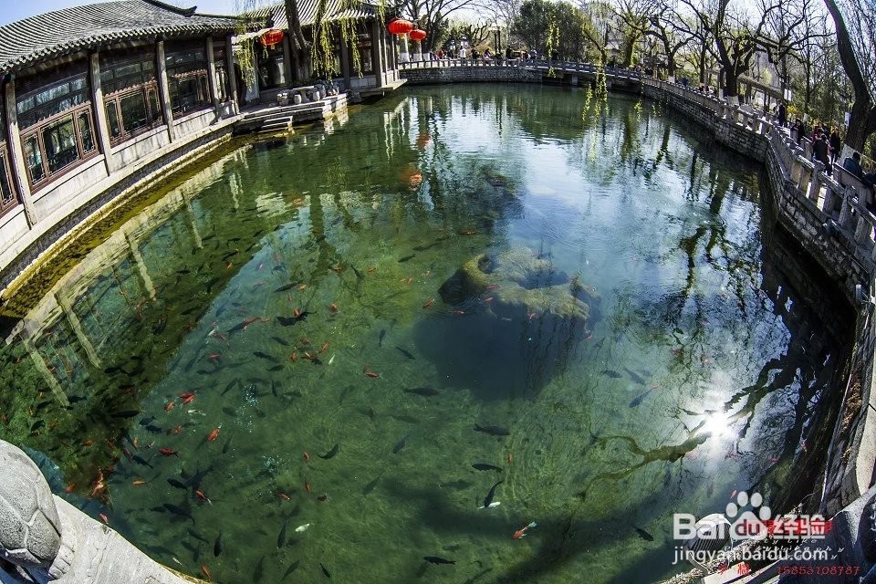 单反相机怎么用鱼眼镜头拍好照片