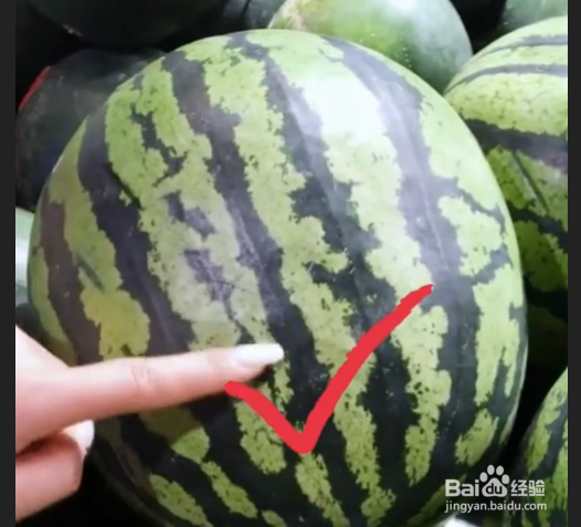 如何挑选西瓜