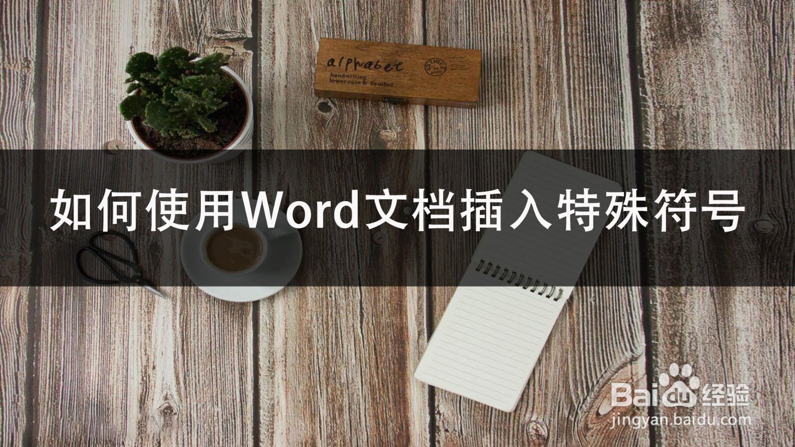 如何使用Word文档插入特殊符号