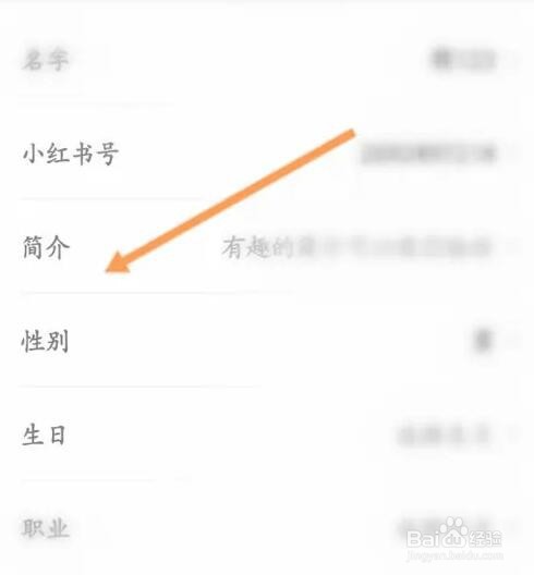 小红书如何设置个人简介