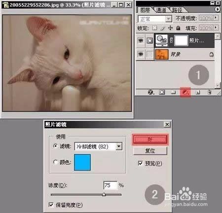 Photoshop调整偏色猫咪照片