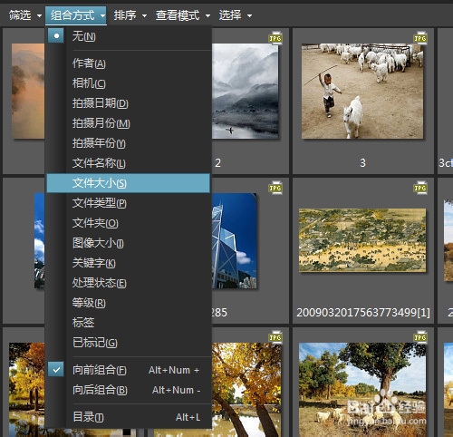 ACDSee如何设置关闭鼠标经过弹出窗口预览缩略图
