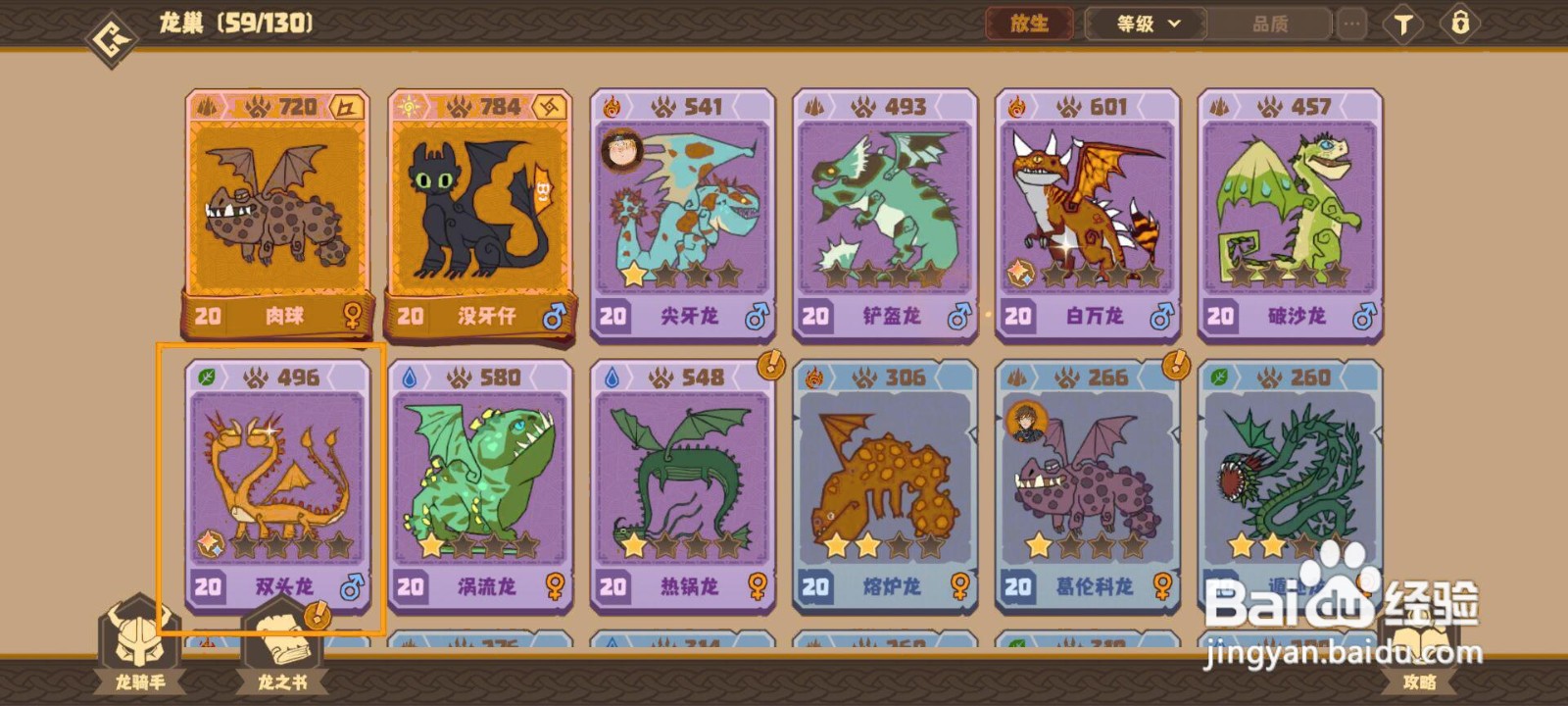 如何为驯龙高手的双头龙穿戴珍宝？