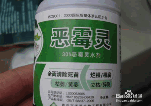 树木栽植中各类养护药剂的应用技术